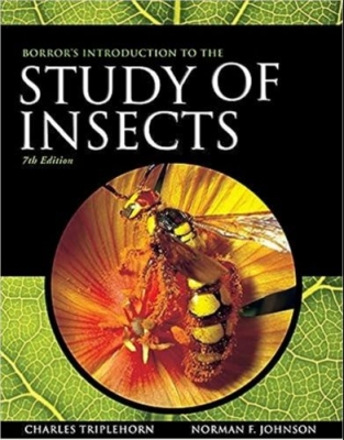 Введение Боррора и Делонга в изучение насекомых
