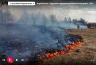 Подкаст. Слушаем! Радиоканал! Выпуск «Агроэколог Гладилин о вреде весеннего пала травы»