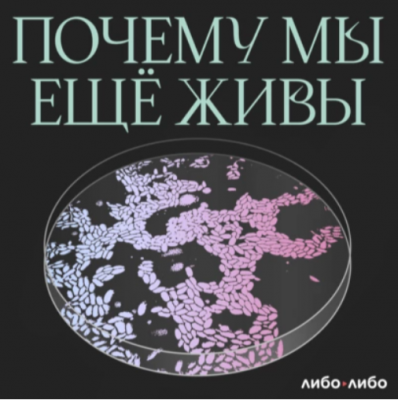 Подкаст. Почему мы еще живы. Выпуск «Достойный финал: как появилась паллиативная медицина»