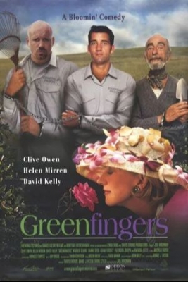 «Зеленые пальцы» (2000). Фильм