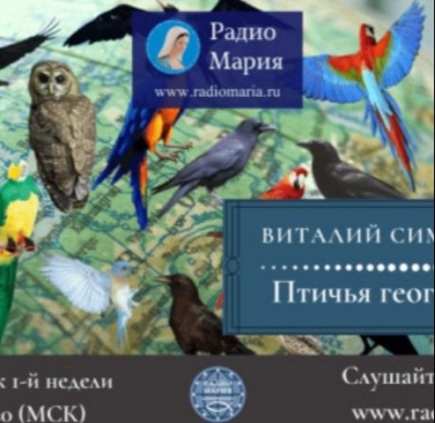 Виталий Симуткин «Птичья география». Подкаст