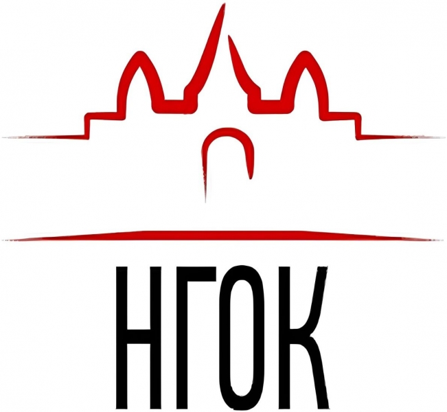 АНО СПО «Новосибирский городской открытый колледж»