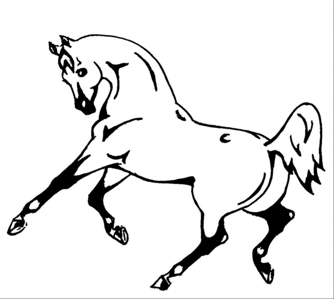 ГБПОУ ВО «Хреновская школа наездников»