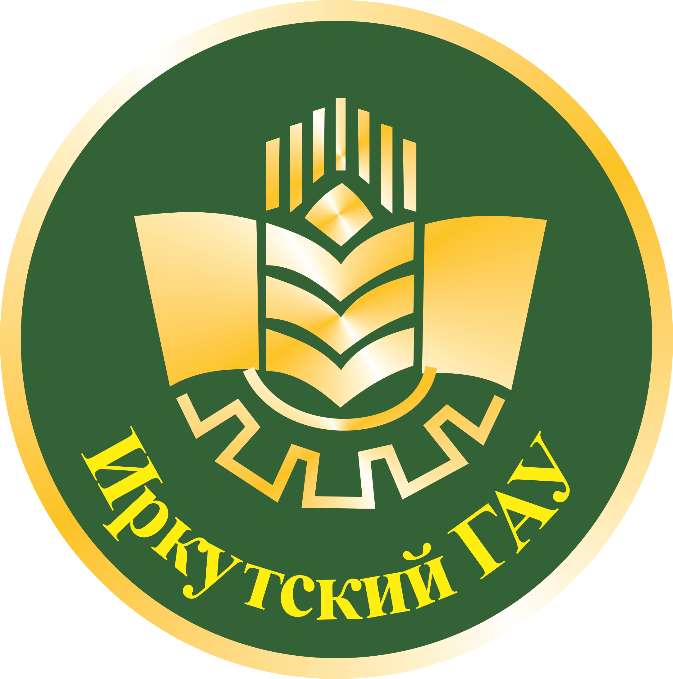 Ежевского. Университет исхи иркутск. Исхи иркутск. Фгбоу во иркутский гау. Аграрный университет улица тимирязева иркутск.