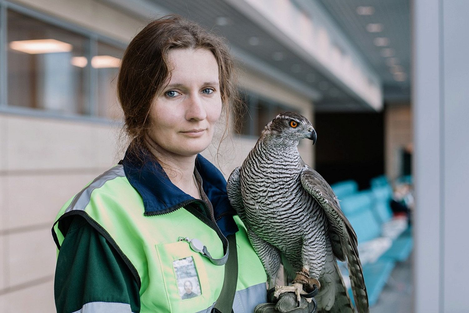 Орнитолог: чем занимается, карьера и зарплата | WOWPROFI