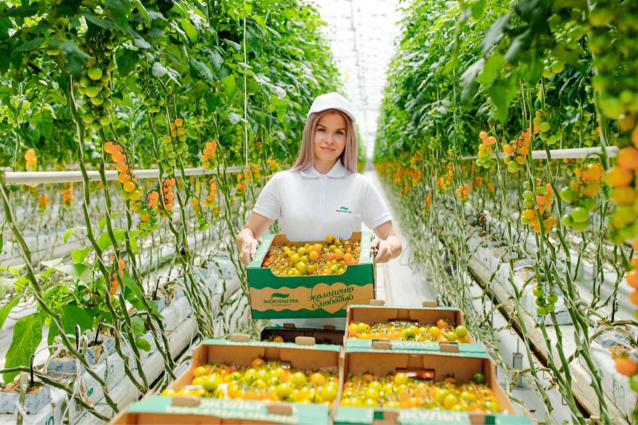 professiia-agronom-pochemu-stoit-obratit-na-nee-vnimanie